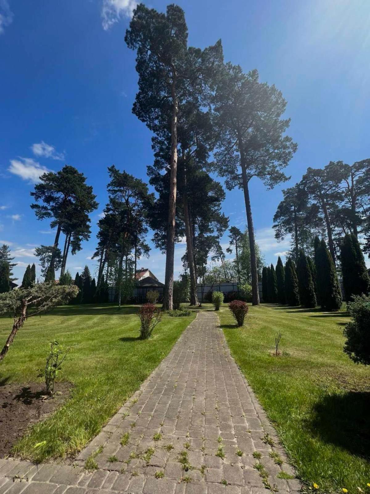 Hotel Borovik Novosilki Exteriér fotografie