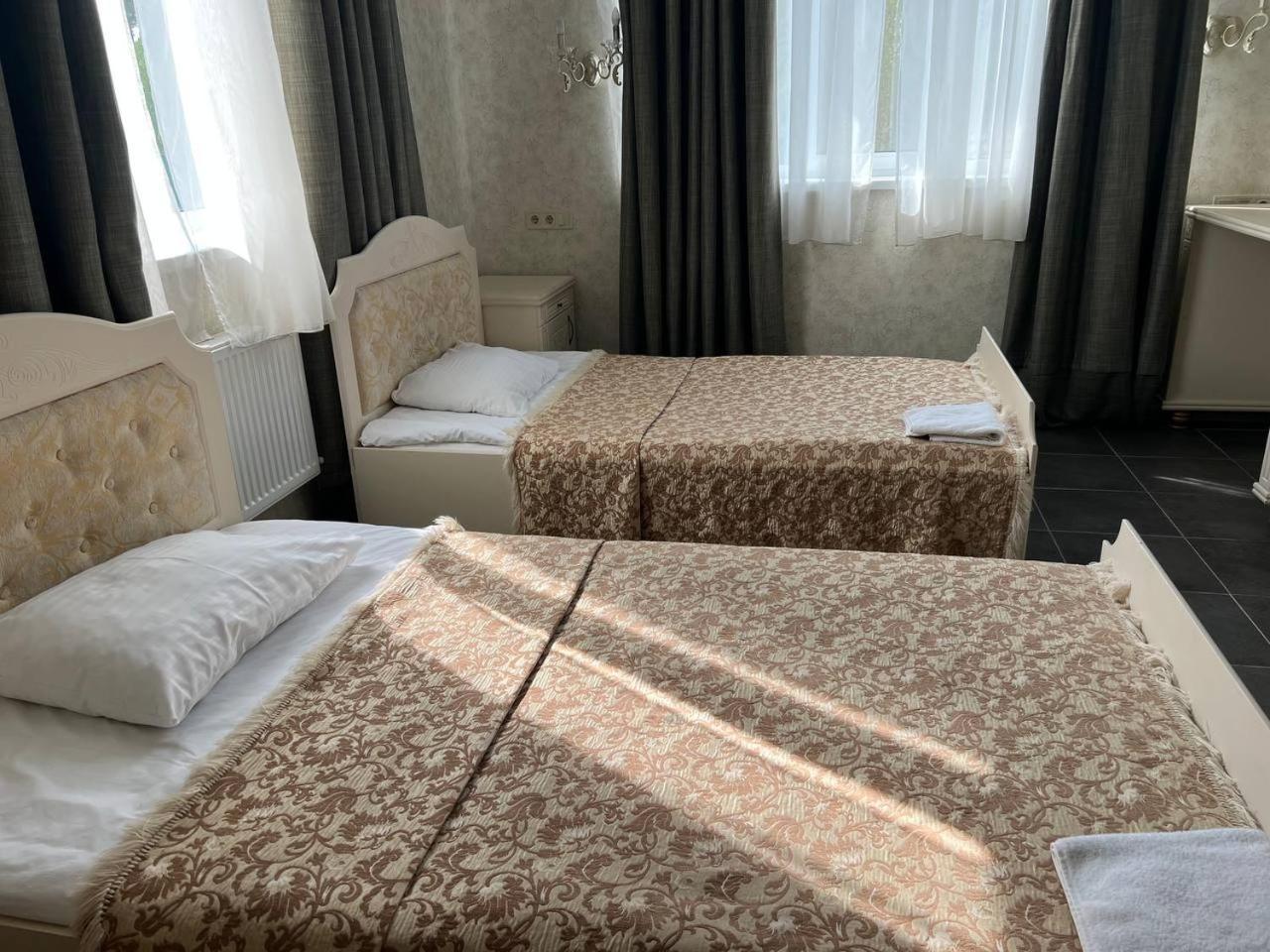 Hotel Borovik Novosilki Exteriér fotografie