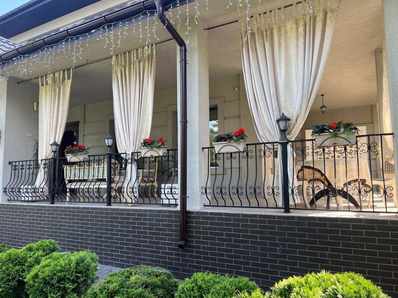 Hotel Borovik Novosilki Exteriér fotografie